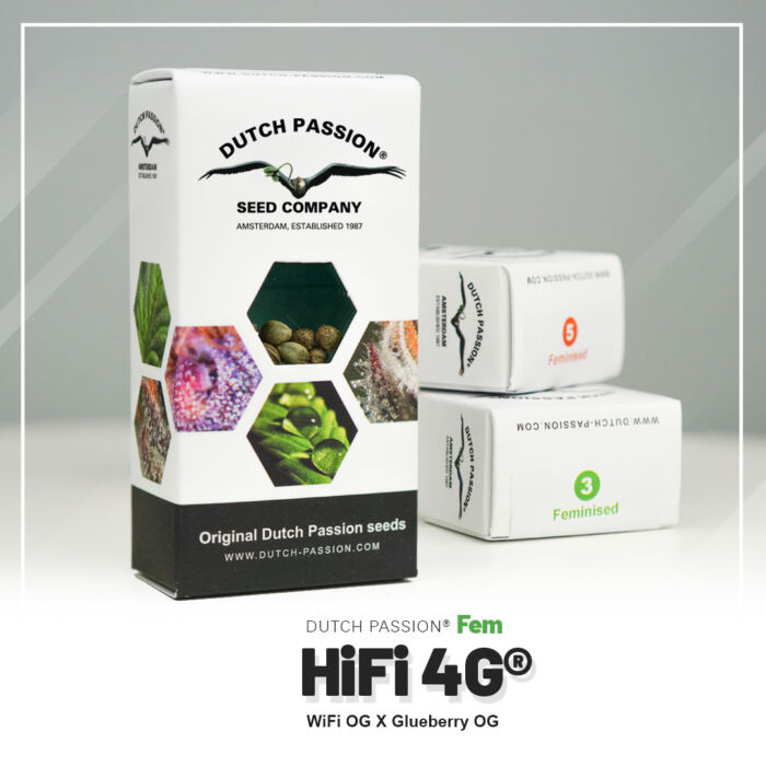 hifi-4g oryginalne opakowanie nasion Marihuany Dutch Passion