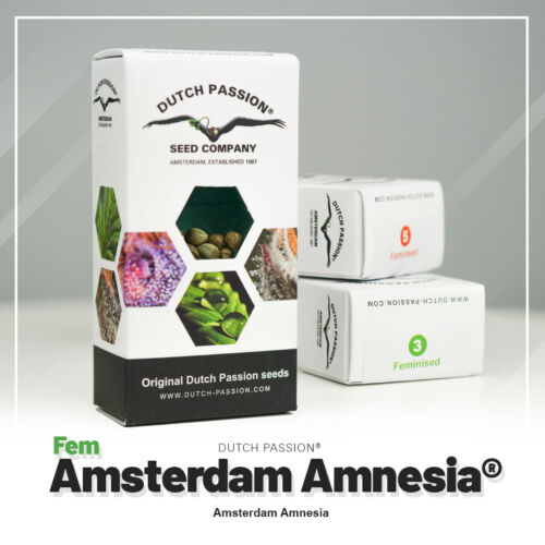 Marihuanasamen Amsterdam Amnesia Dutch Passion neue Verpackung