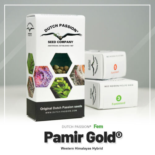 pamir-gold- nasiona marihuany Dutch Passion nowe opakowanie