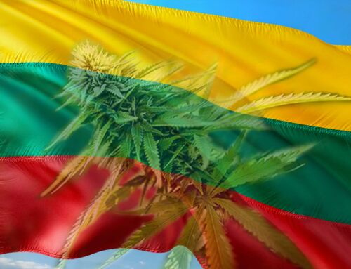 Marihuana na Litwie