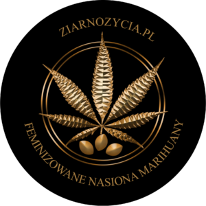 Ziarno Życia
