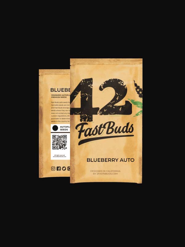Blueberry Auto Fast Buds Originalverpackung von Marihuanasamen