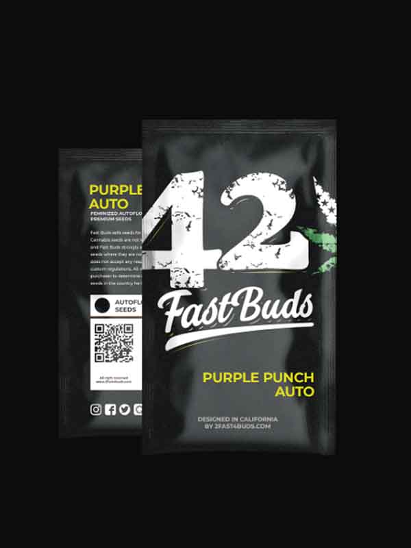Marihuanasamen Purple Punch Auto Fast Buds Originalverpackung