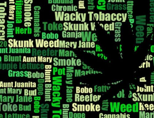 Popularne i alternatywne nazwy marihuany