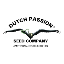 Dutch Passion LOGO Голландський магазин насіння марихуани Польща