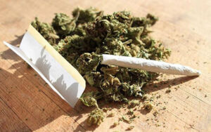 Joint und Marihuanablätter