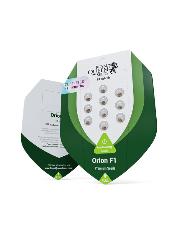 Orion F1-Hybride Royal Queen Seeds Marihuanasamen in Originalverpackung