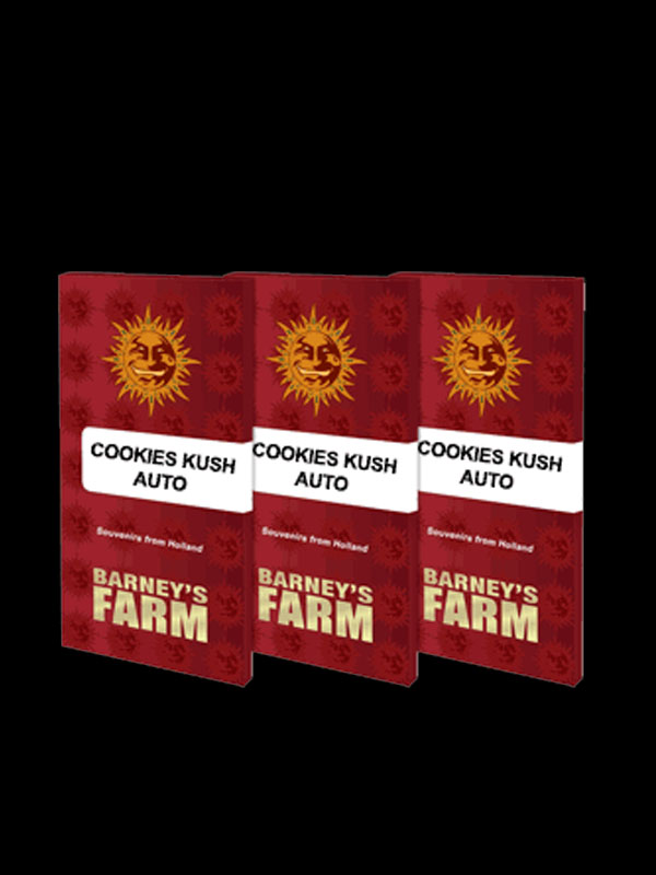 cookies kuch auto oryginalne opakowanie nasiona marihuany odmiana barneys farm