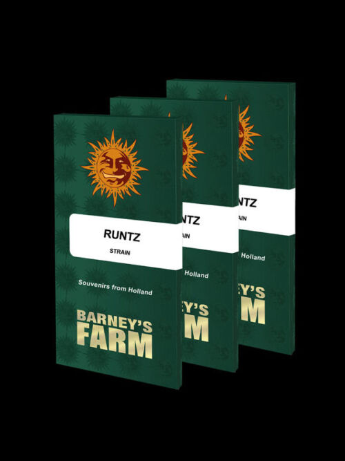 runtz new strain 2023 barneys farm bf nasiona marihuany