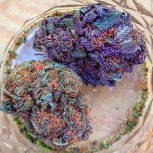 fioletowe topki marihuany