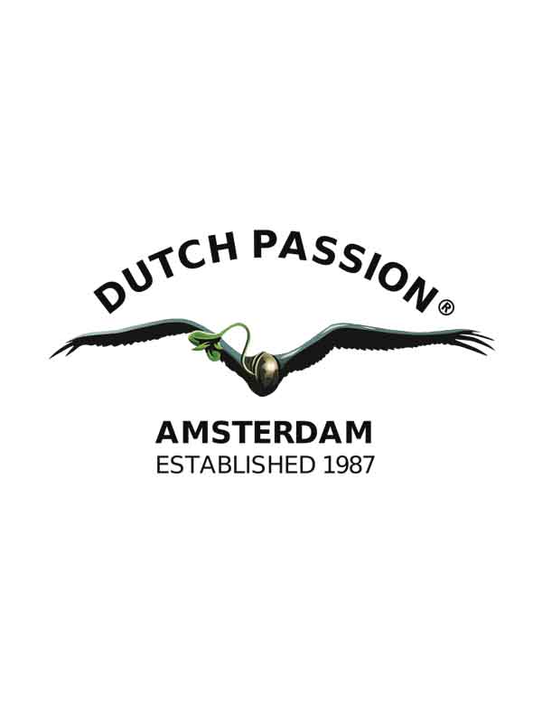 dutch-passion-ein weltweiter Produzent von Marihuana-Körnern aus dem Pays-Bas