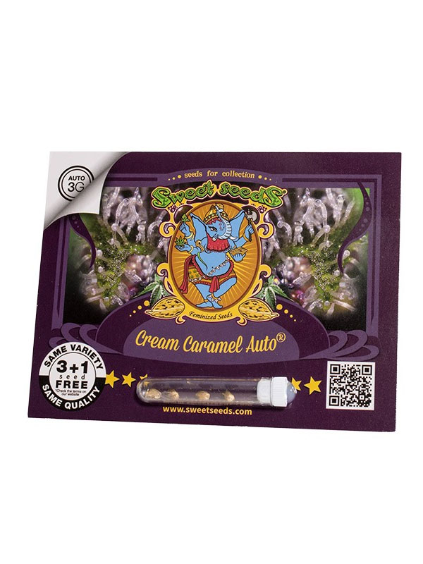 Cream Caramel Auto Marihuanasamen-Paket Sweet Seeds