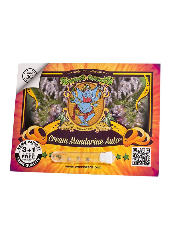 Cream Mandarine Auto Sweet Seeds Marihuanasamen