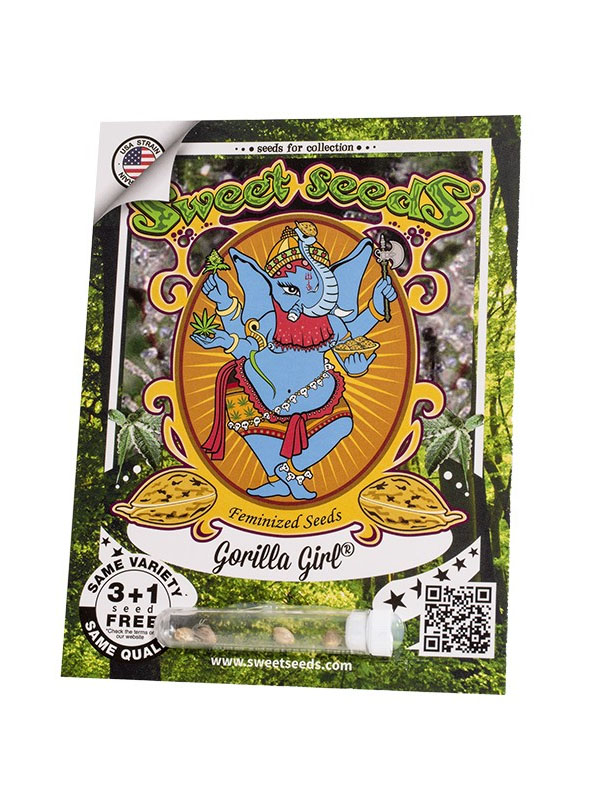 Gorilla Girl Sweet Seeds Marihuanasamen in Originalverpackung