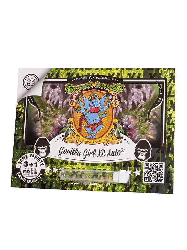 Gorilla Girl Xl Auto nasiona konopi z Hiszpanii oryginalne opakowanie Sweet Seeds