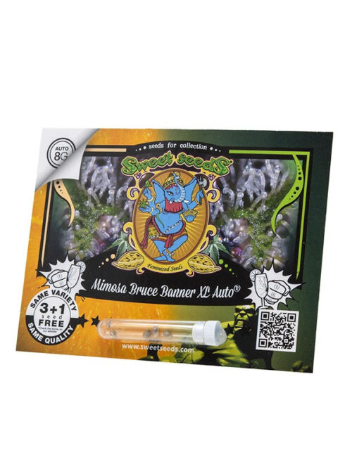 Mimosa Bruce Banner XXL Auto Sweet Seeds Originalverpackung der Marihuanasamen