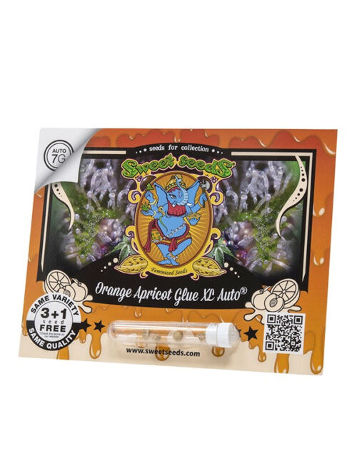 Orange Apricot Glue XL Auto Marihuanasamen in Originalverpackung sweet seeds