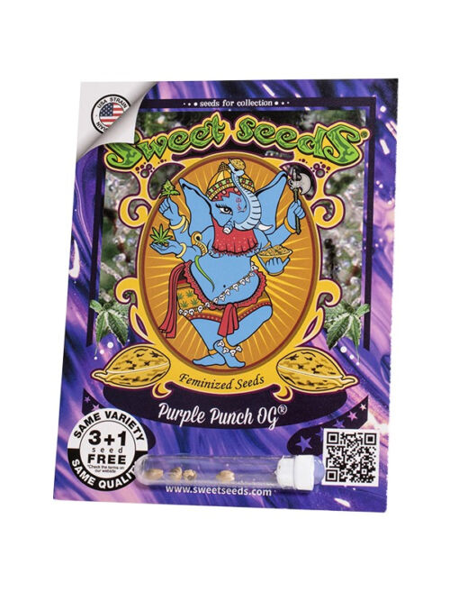 Purple Punch OG Sweet Seeds Marihuanasamen