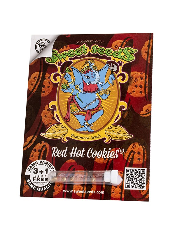 Red Hot Cookies Marihuanasamen Sweet Seeds