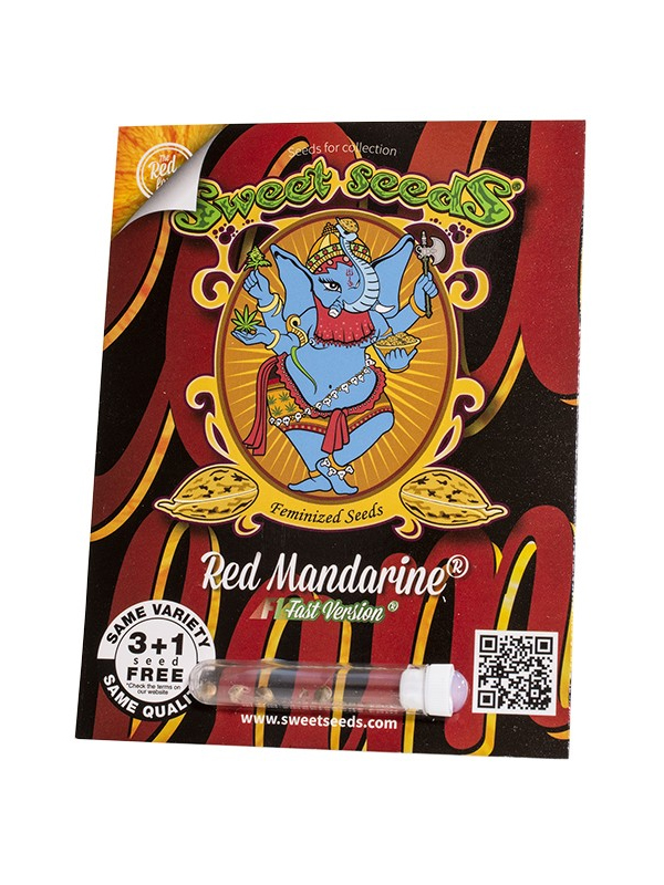Red Mandarine F1 Fast Version Marihuanasamen Sweet Seeds Originalverpackung