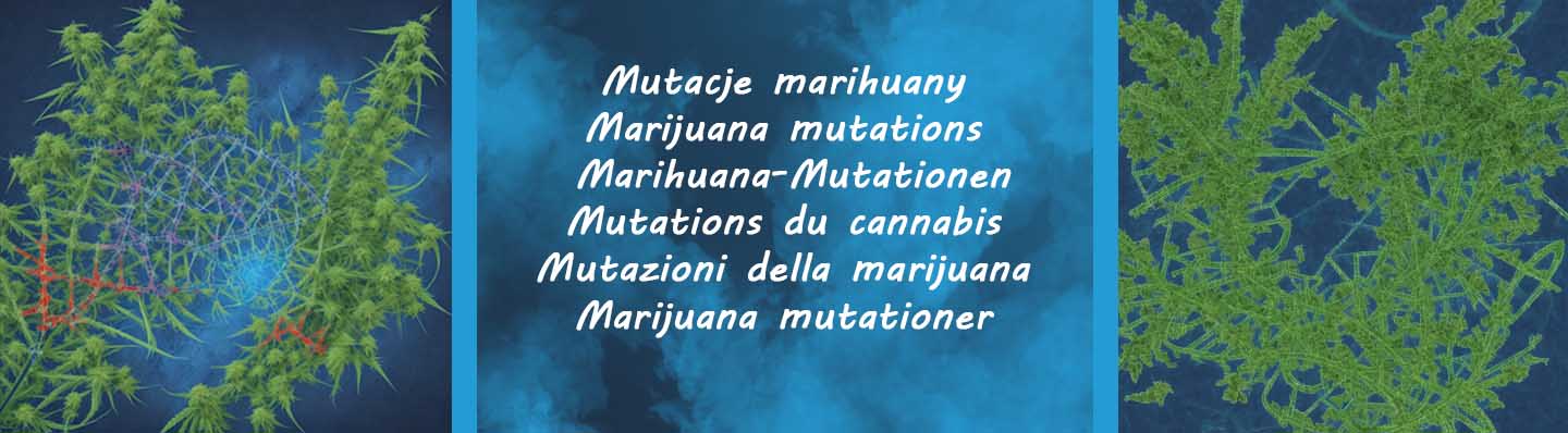 Marihuana-Mutationen