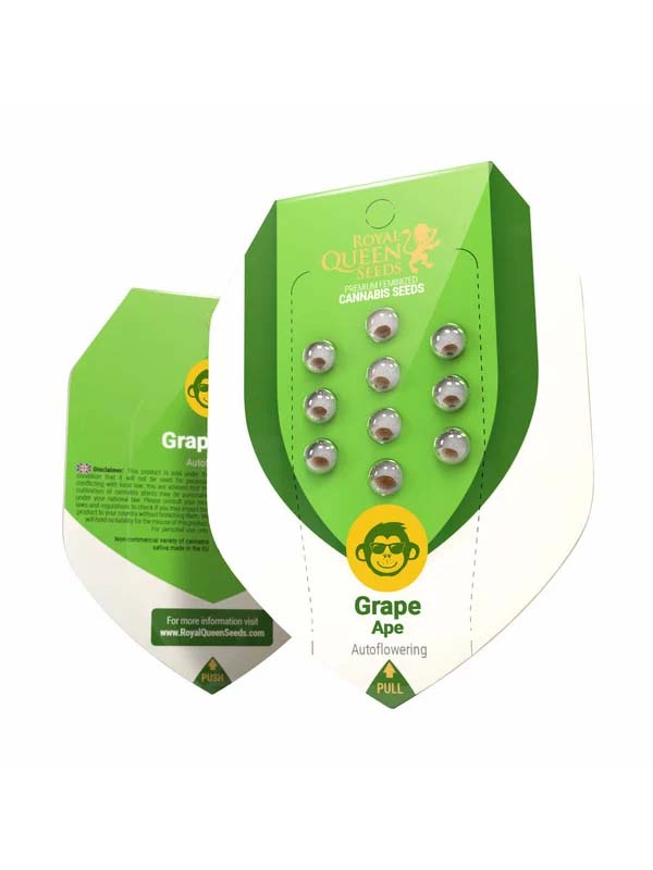 Grape Ape Auto Hanfsamen Royal Queen Seeds neue 2024 Originalverpackung