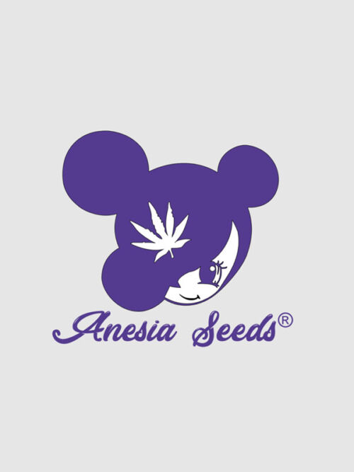 Anesia Seeds Logo Marihuanasamen Spanien und USA
