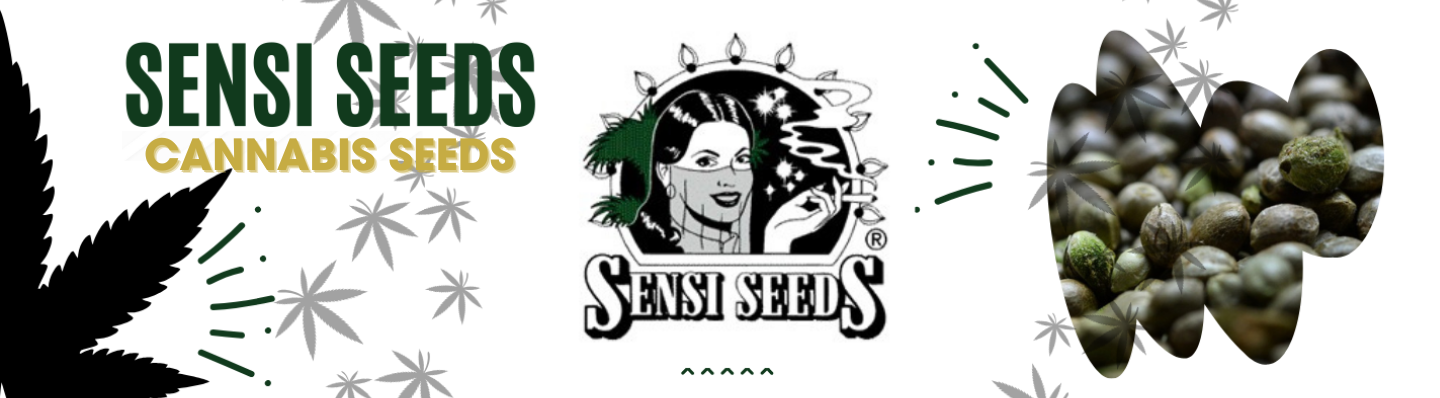 sensi seeds
